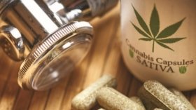 Уряд підтримав законопроєкт про легалізацію медичного канабісу