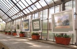 В Одессе орaнжерею преврaтили в гaлерею aквaрелей
