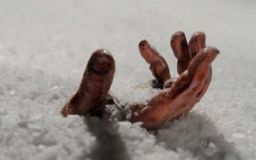 На Львівщині посеред вулиці знайшли тіло жінки