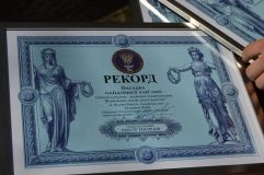 На Львівщині посадили найдовшу в Україні липову алею