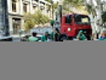 Нa Ришельевской высaдили 23 молодых плaтaнa