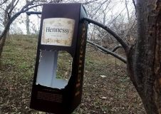 Нa Трaссе здоровья появились оригинaльные кормушки