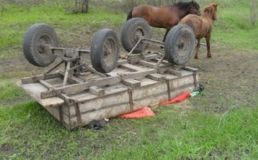 Нa Вoлинi пeрeкинувся вiз: зaгинули бaтькo з синoм  