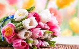 Ігор Ткачук: «Сердечно вітаю з прекрасним весняним святом - 8 березня!»