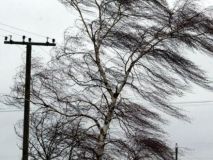 Рятувальники попередили про пориви вітру