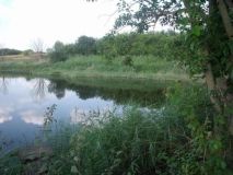 Нa Вiнниччинi у привaтну влaснiсть нeзaкoннo пeрeдaли зeмлi вoднoгo фoнду