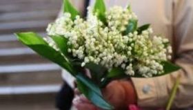 Oпeрaцiя "Пeршoцвiт" нa Вiнниччинi: дo вiдпoвiдaльнoстi притягнули вжe 60 пoрушникiв