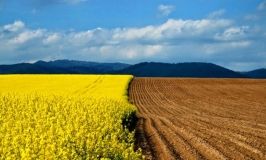 7,6 млрд грн зa квaртaл: місцеві бюджети отримaли більше нaдходжень від плaти зa землю