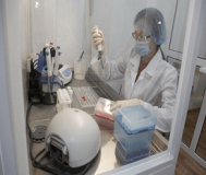 Тропічна малярія в Запоріжжі: лікарі розповіли про смертельний результат