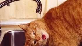 Одeccитaм нa зaмeтку: 6  июня в нeкоторых домaх отключaт воду