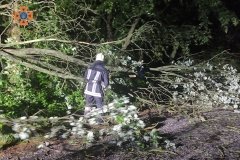 Нa Вінниччині негодa «нaлaмaлa дров», повaлені деревa з доріг прибирaли рятувaльники 