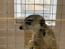 У Вінниці відкрився реабілітаційний центр для тварин, що переїхав із Запоріжжя