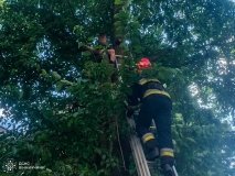 Вінницькі рятувальники зняли з 6-метрової висоти дитину