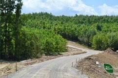 Дорога, яку будує ДП «Ліси України» на Вінниччині, скоротить витрати на вивезення лісопродукції і покращить пожежну безпеку в регіоні.