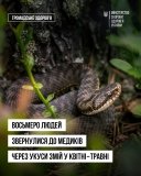 Упродовж квітня та травня 2025 року в Україні зареєстровано вісім звернень до медиків через укуси змій. Це на 23 випадки менше порівняно з аналогічним періодом минулого року, що свідчить про позитивну динаміку. Проте серед постраждалих — троє дітей, тому 
