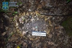 У Ладижині затримали 23-річного наркоторговця – прокурори повідомили про підозру