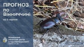На Вінниччину прийшов холодний фронт: грози, зливи та шквали – коли потепліє?