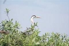 На Вінниччині прокуратура через суд домагається повернення двох заказників, незаконно переданих під мисливські угіддя