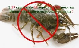 На Вінниччині з 15 серпня запроваджують заборону на вилов річкових раків під час другої линьки
