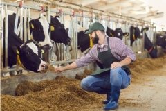 Вінничани зможуть отримати до 200 тис. грн на розвиток тваринництва