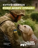 31 серпня у Вінниці – фестиваль Pet Ville у парку імені Леонтовича