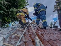 На Вінниччині за добу сталося 9 пожеж: горіли ліси, житлові будинки та кафе