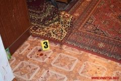 На Вінниччині чоловік вбив дружину і вистрілив собі у груди з рушниці