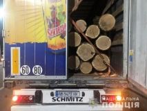  На Вінниччині поліцейські за добу зупинили 4 вантажівки з нелегальною деревиною 