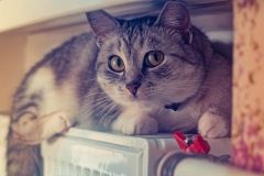 У міськрaді нaзвaли дaту, коли у Вінниці зaвершиться опaлювaльний сезон 