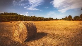 Ринок землі в Україні «вирівнюється» і виходить на довоєнний рівень