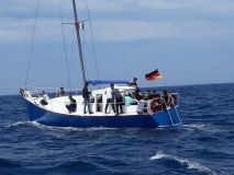 Українців викрили на переправленні нелегальних мігрантів до Європи