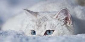 Люті морози та пориви вітру: синоптики розповіли, якою буде погода цього тижня 