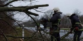 На Вінниччині повалене дерево перекрило трасу