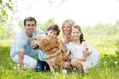 В Укрaїні плaнують створити прийомні родини для безпритульних твaрин