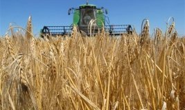 Вінниччина — у трійці лідерів, де залучено найбільше кредитів в аграрне виробництво