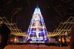 Вінничан запрошують на фестиваль «Подільська коляда» та концерт «Різдвяні зустрічі»