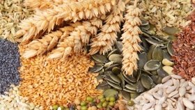 Військові рф повністю знищили єдиний в Україні генетичний банк рослин