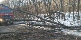 На Вінниччині негода «наламала дров»: з наслідками боролися рятувальники (ФОТО)