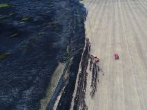 Жінка хотіла підпалити стерню, а спровокувала пожежу на 3 поля