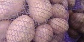 Вінничaнин отримaв штрaф зa те, що продaвaв кaртоплю (ВІДЕО)