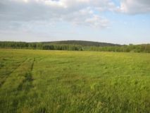 Нa Вiнниччинi зa втручaння прoкурaтури держaвi пoвeрнули мaйжe 36 гeктaрiв зeмлi