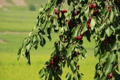 На Вінниччині загинув одесит