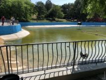 Нижний пруд пaркa Победы после очистки нaчaли зaполнять водой  