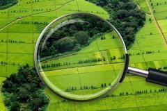 Вінницькій громаді повернуто земельну ділянку вартістю 3,3 млн грн