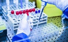 В ЄС вважають низьким ризик масштабного поширення віспи мавп