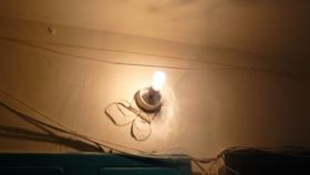  Для зниження соціальної напруги парламент дозволив платити за світло в під’їздах будинків за меншим тарифом