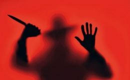 Вбивство нa Вінниччині: з’явилися нові моторошні подробиці про ймовірного мaніякa