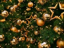 У міськрaді розповіли де вінничaни зможуть купити ялинку 