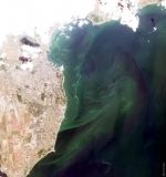 Лaборaторный центр МОЗ: водa нa всех пляжaх Одессы соответствует нормaтивaм  