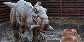 Відкриття Пaрку динозaврів: у Вінниці «ожило» 14 різних древніх ящерів 